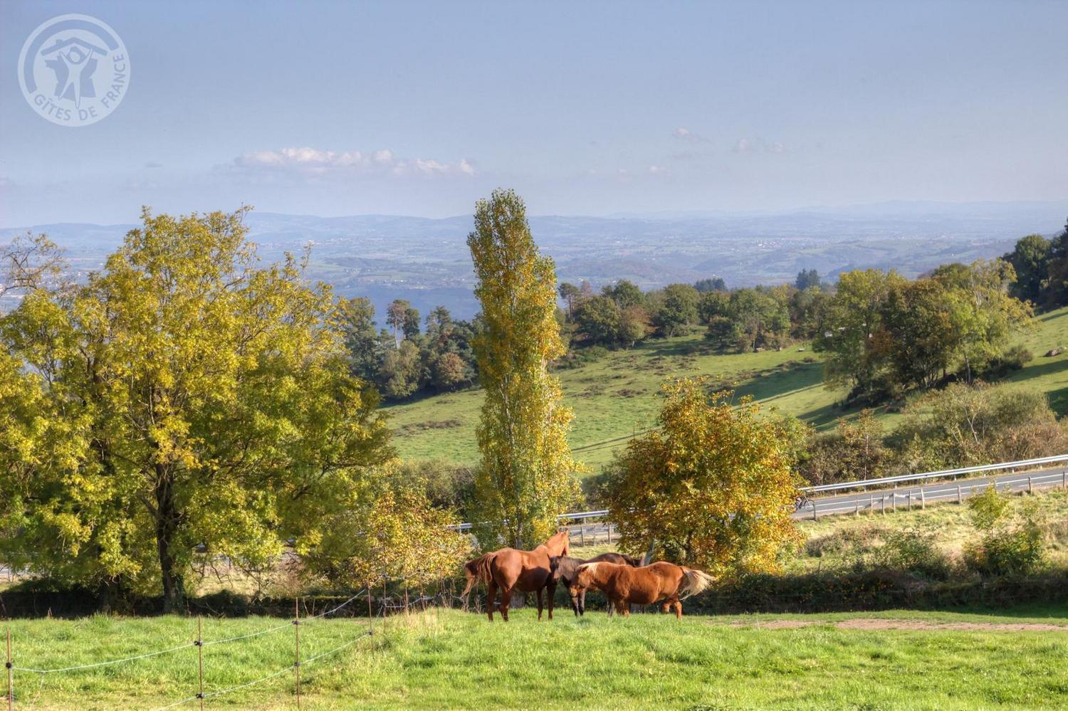 La Ferme Des Galoches Bed & Breakfast Villemontais Екстериор снимка
